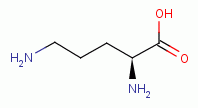 L-ornithine substrate 
for ornithine decarboxylase